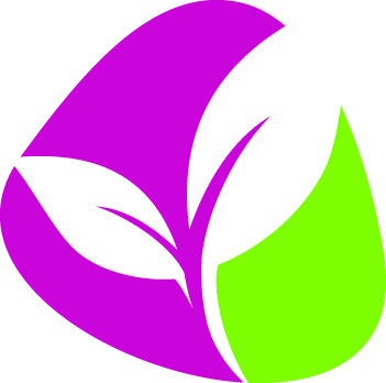 tuinplantenshop online planten bestellen, beplantingsplan om maat, cursus beplantingsplan maken