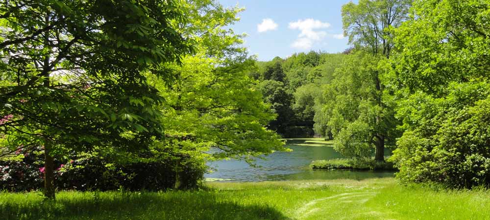 bomen met noten