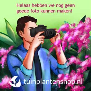 Helaas hebben we nog geen goede foto kunnen maken.