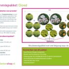 Struiken borderpakket Gloed | Oranje, Groen, Geel, Wit Struikenmixpakket Gloed | Borderpakket | Borderplan