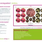 Struikenmixpakket Umbra | Borderpakket | Borderplan