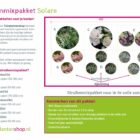 Struiken borderpakket Solare | Volle zon pakket Struikenmixpakket Solare | Borderpakket | Borderplan