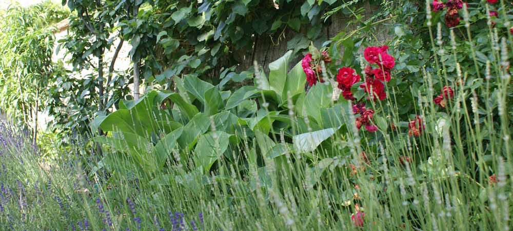 Je tuin aanpassen