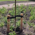 Boompaal | Rond 250cm lang | Diameter 6cm Boompaal net gezet bij een boom