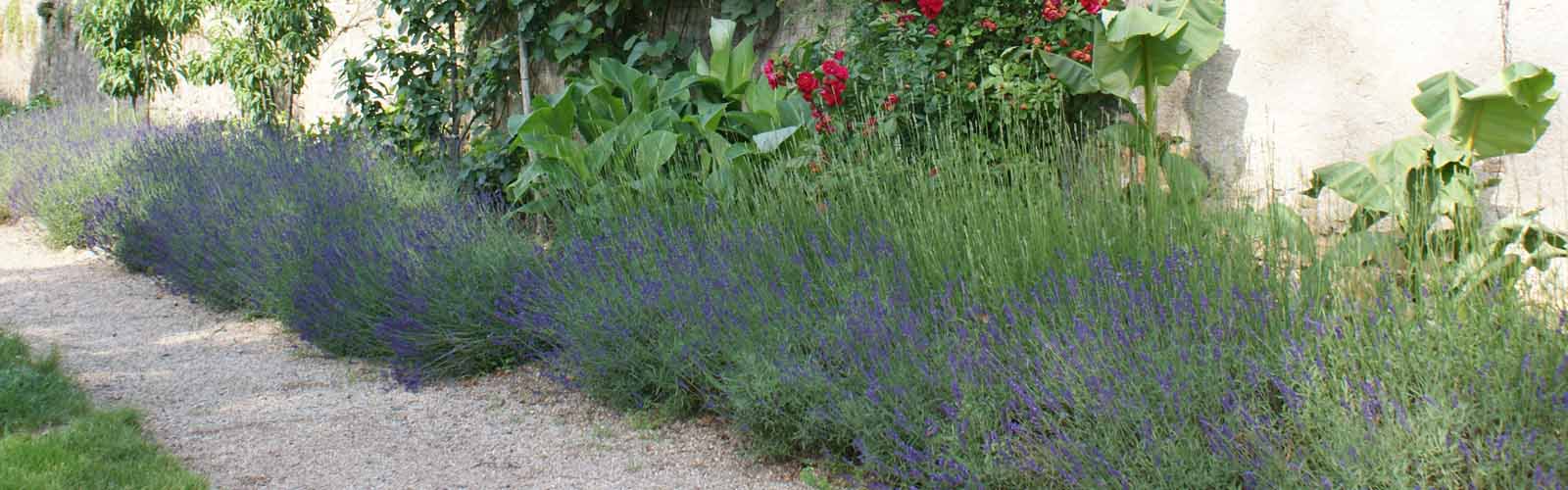 Inspiratie Blog Artikelen