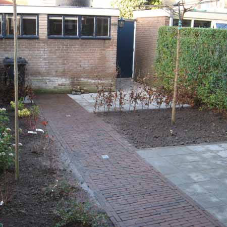 gezonde bodem aanplaanten