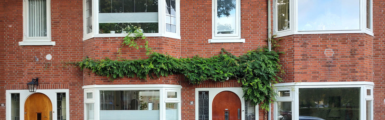 Klimplanten