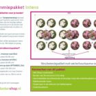 Struikenmixpakket Intens | Struiken borderpakket | plantenpakket met heesterrozen