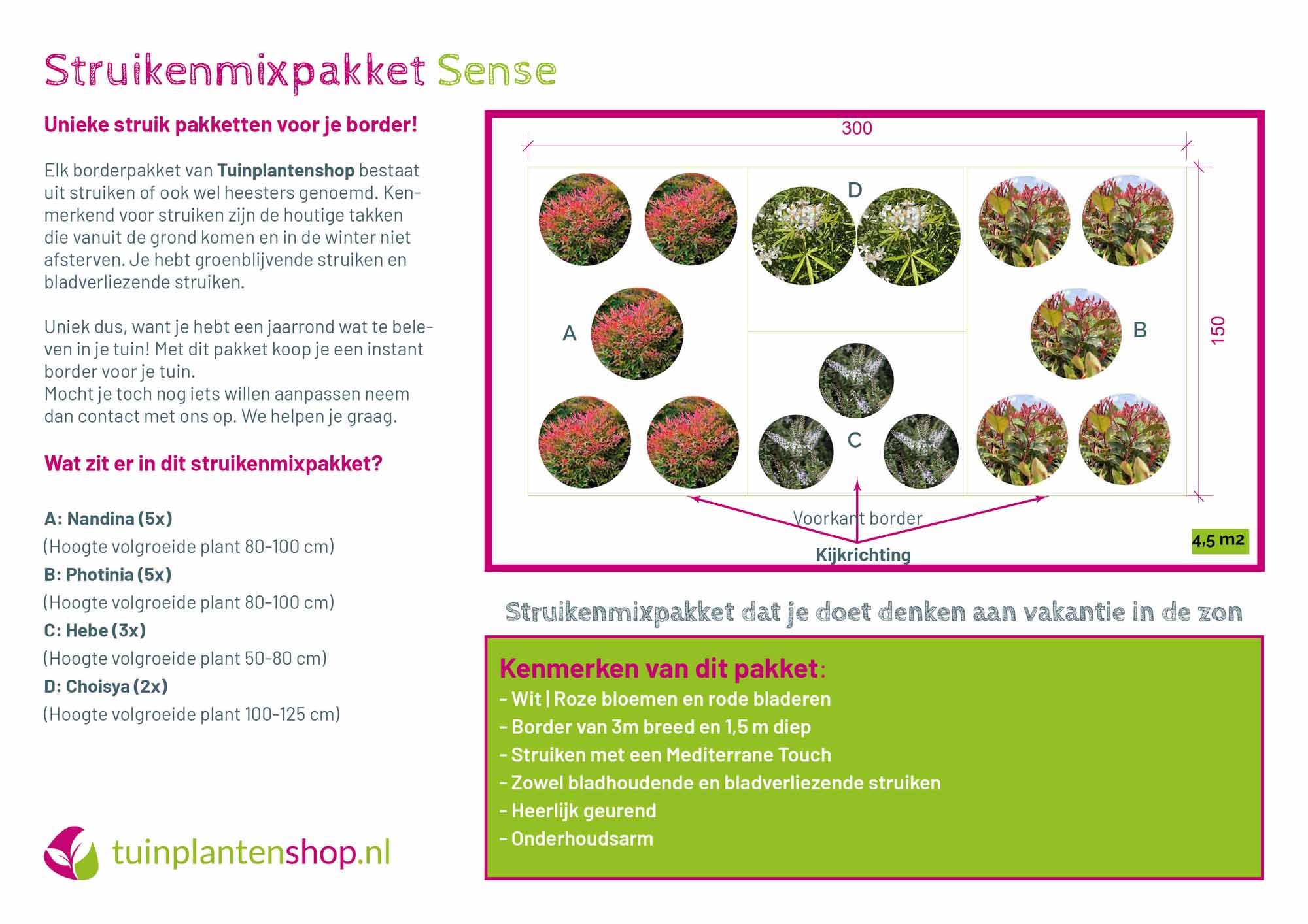 Struikenmixpakket Sense | Struiken borderpakket | Mediterrane planten