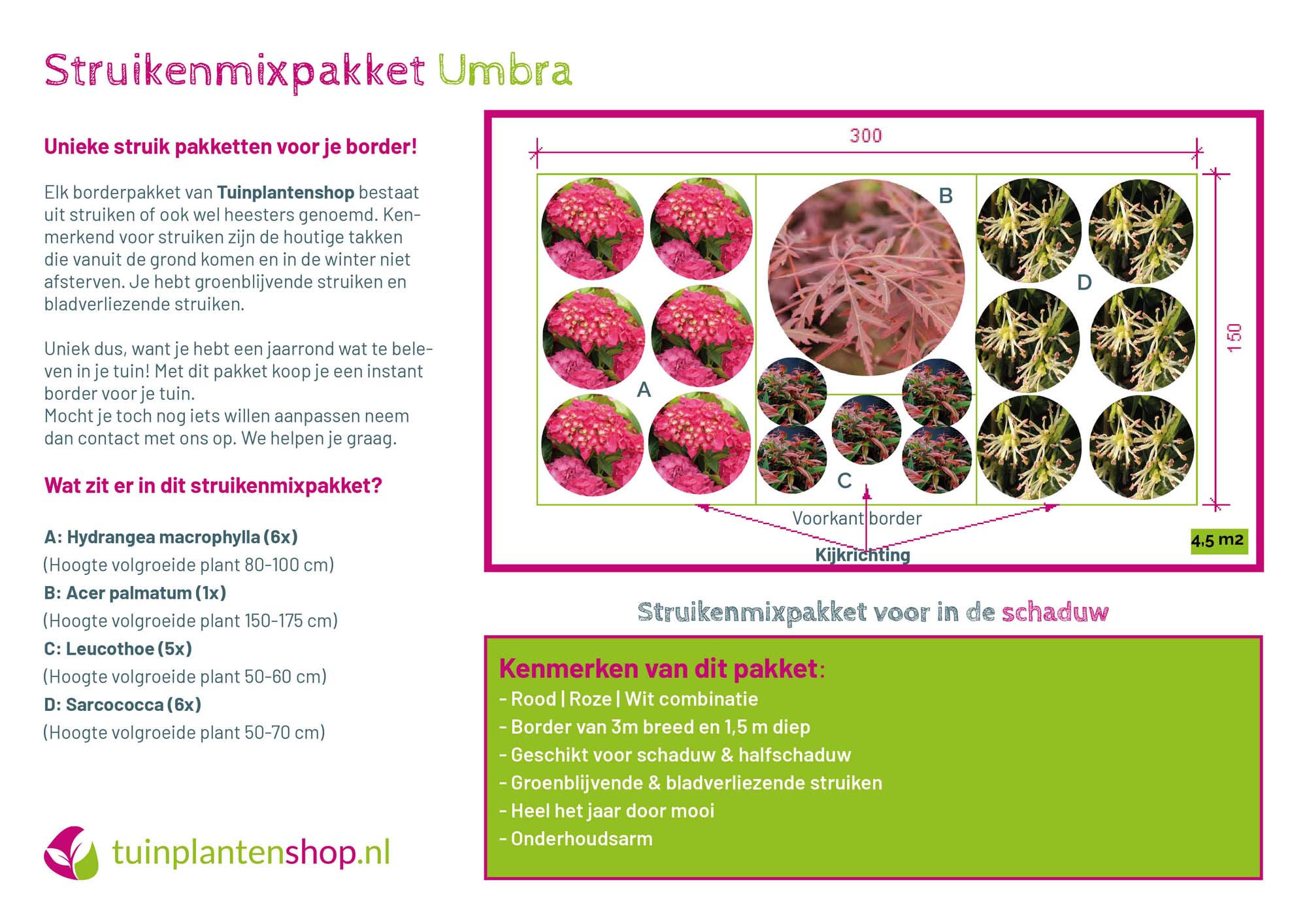 Struikenmixpakket Umbra | Struiken borderpakket | Schaduwplanten pakket